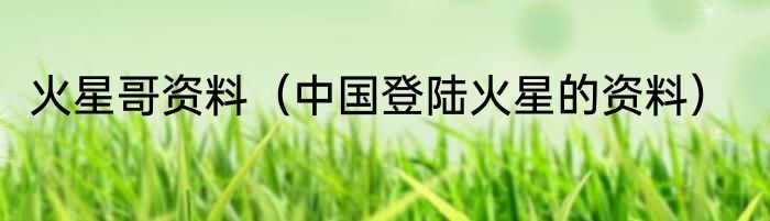 火星哥资料（中国登陆火星的资料）