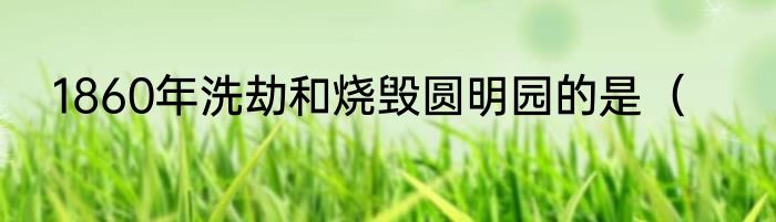 1860年洗劫和烧毁圆明园的是（