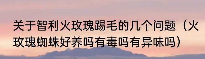 关于智利火玫瑰踢毛的几个问题（火玫瑰蜘蛛好养吗有毒吗有异味吗）