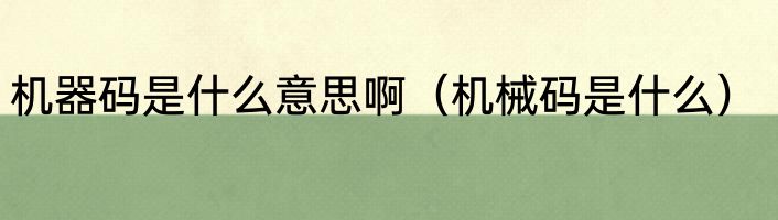 机器码是什么意思啊（机械码是什么）