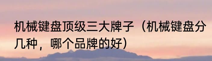 机械键盘顶级三大牌子（机械键盘分几种，哪个品牌的好）