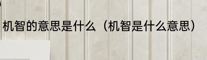 机智的意思是什么（机智是什么意思）