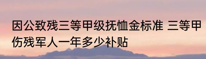 因公致残三等甲级抚恤金标准 三等甲伤残军人一年多少补贴