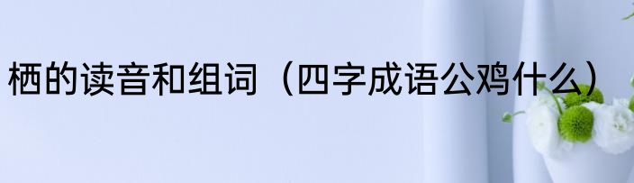 栖的读音和组词（四字成语公鸡什么）