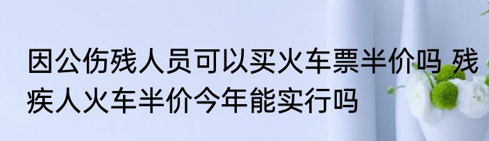 因公伤残人员可以买火车票半价吗 残疾人火车半价今年能实行吗
