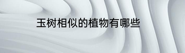 玉树相似的植物有哪些