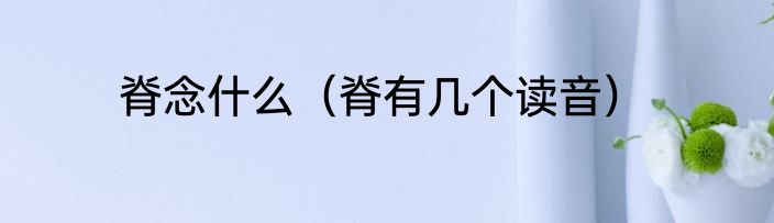 脊念什么（脊有几个读音）