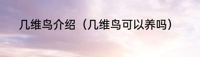 几维鸟介绍（几维鸟可以养吗）