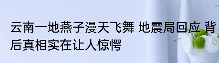 云南一地燕子漫天飞舞 地震局回应 背后真相实在让人惊愕