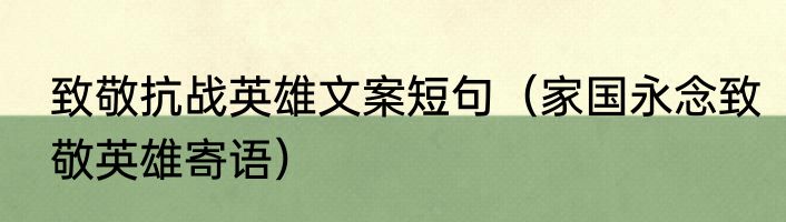 致敬抗战英雄文案短句（家国永念致敬英雄寄语）