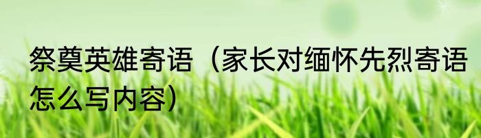 祭奠英雄寄语（家长对缅怀先烈寄语怎么写内容）