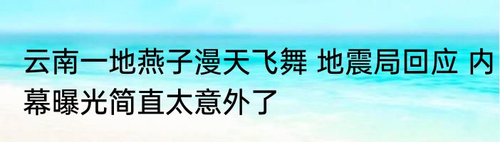 云南一地燕子漫天飞舞 地震局回应 内幕曝光简直太意外了