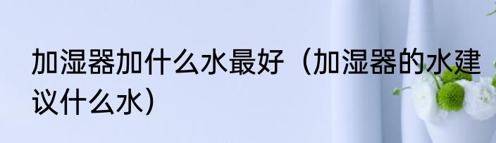加湿器加什么水最好（加湿器的水建议什么水）