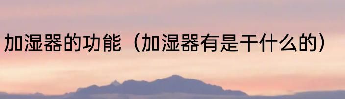 加湿器的功能（加湿器有是干什么的）