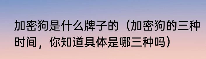 加密狗是什么牌子的（加密狗的三种时间，你知道具体是哪三种吗）