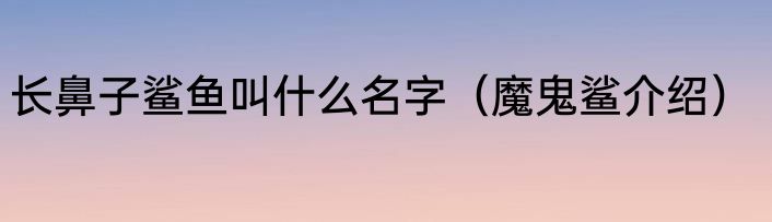 长鼻子鲨鱼叫什么名字（魔鬼鲨介绍）