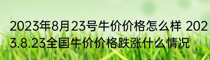 2023年8月23号牛价价格怎么样 2023.8.23全国牛价价格跌涨什么情况