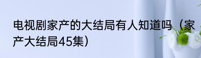 电视剧家产的大结局有人知道吗（家产大结局45集）