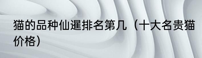猫的品种仙暹排名第几（十大名贵猫价格）