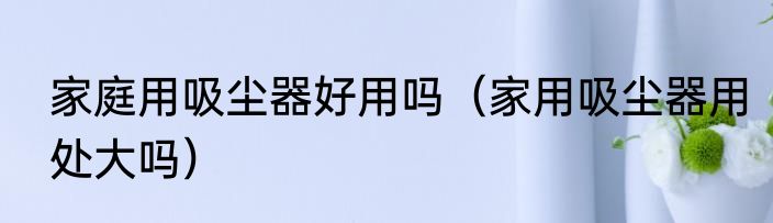 家庭用吸尘器好用吗（家用吸尘器用处大吗）