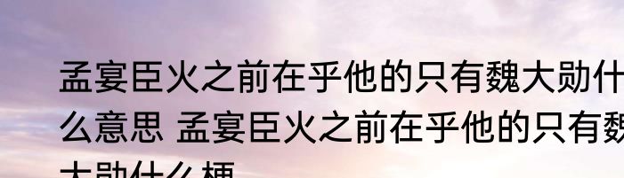 孟宴臣火之前在乎他的只有魏大勋什么意思 孟宴臣火之前在乎他的只有魏大勋什么梗