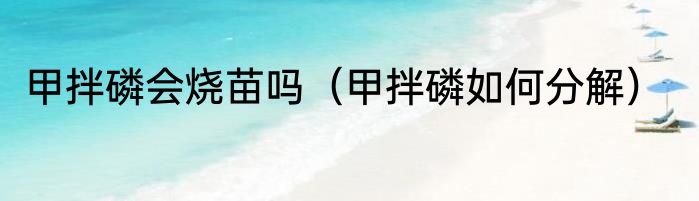 甲拌磷会烧苗吗（甲拌磷如何分解）