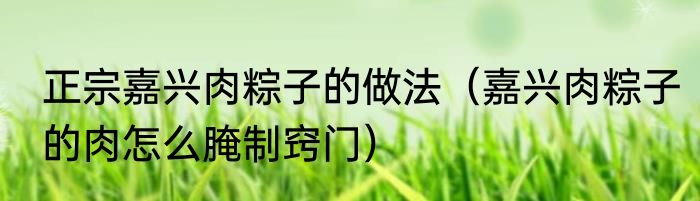 正宗嘉兴肉粽子的做法（嘉兴肉粽子的肉怎么腌制窍门）