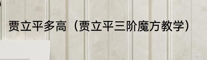 贾立平多高（贾立平三阶魔方教学）