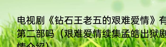 电视剧《钻石王老五的艰难爱情》有第二部吗（艰难爱情续集孟皓出狱剧情介绍）