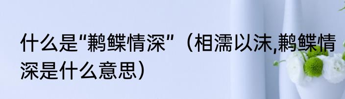 什么是“鹣鲽情深”（相濡以沫,鹣鲽情深是什么意思）