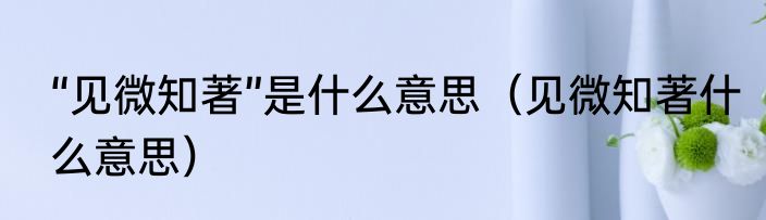“见微知著”是什么意思（见微知著什么意思）