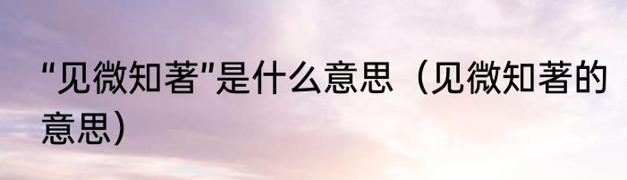 “见微知著”是什么意思（见微知著的意思）