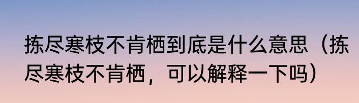 拣尽寒枝不肯栖到底是什么意思（拣尽寒枝不肯栖，可以解释一下吗）