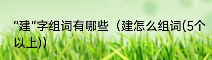 “建”字组词有哪些（建怎么组词(5个以上)）