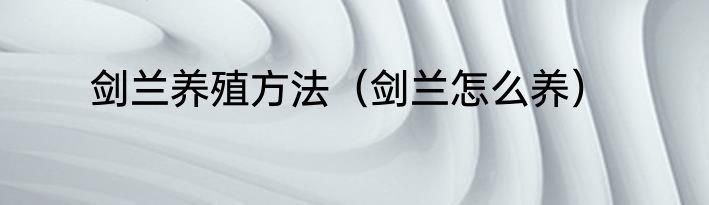 剑兰养殖方法（剑兰怎么养）