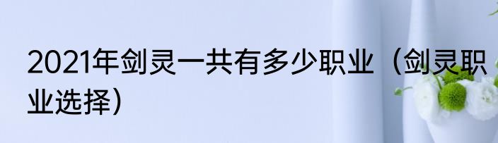 2021年剑灵一共有多少职业（剑灵职业选择）