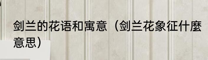 剑兰的花语和寓意（剑兰花象征什麼意思）