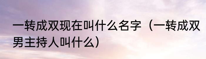 一转成双现在叫什么名字（一转成双男主持人叫什么）