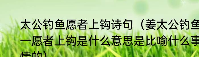 太公钓鱼愿者上钩诗句（姜太公钓鱼一愿者上钩是什么意思是比喻什么事情的）