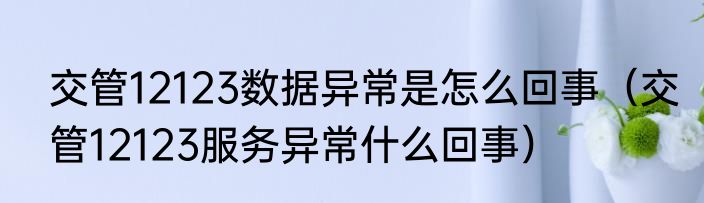交管12123数据异常是怎么回事（交管12123服务异常什么回事）