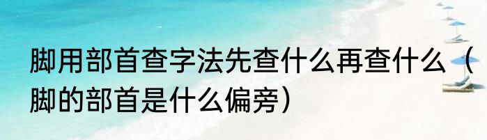 脚用部首查字法先查什么再查什么（脚的部首是什么偏旁）