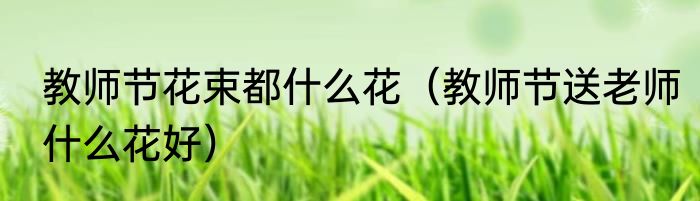 教师节花束都什么花（教师节送老师什么花好）