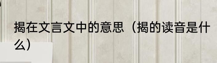 揭在文言文中的意思（揭的读音是什么）