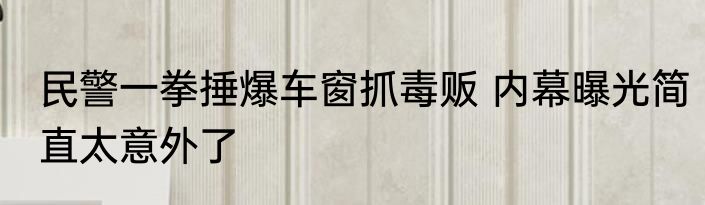 民警一拳捶爆车窗抓毒贩 内幕曝光简直太意外了
