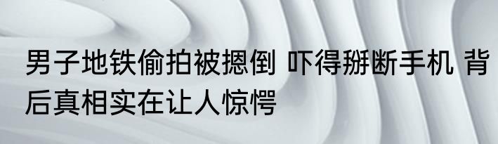 男子地铁偷拍被摁倒 吓得掰断手机 背后真相实在让人惊愕
