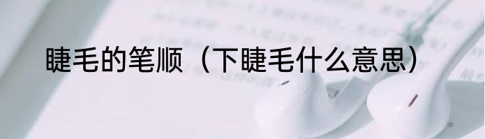 睫毛的笔顺（下睫毛什么意思）