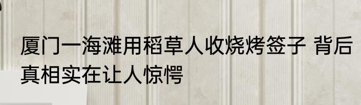 厦门一海滩用稻草人收烧烤签子 背后真相实在让人惊愕