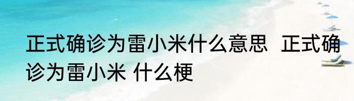 正式确诊为雷小米什么意思  正式确诊为雷小米 什么梗