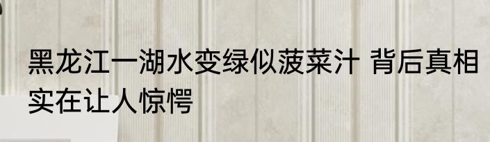 黑龙江一湖水变绿似菠菜汁 背后真相实在让人惊愕