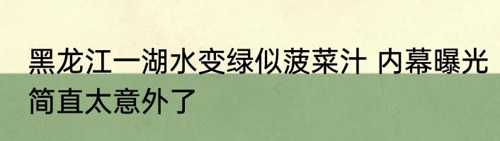 黑龙江一湖水变绿似菠菜汁 内幕曝光简直太意外了
